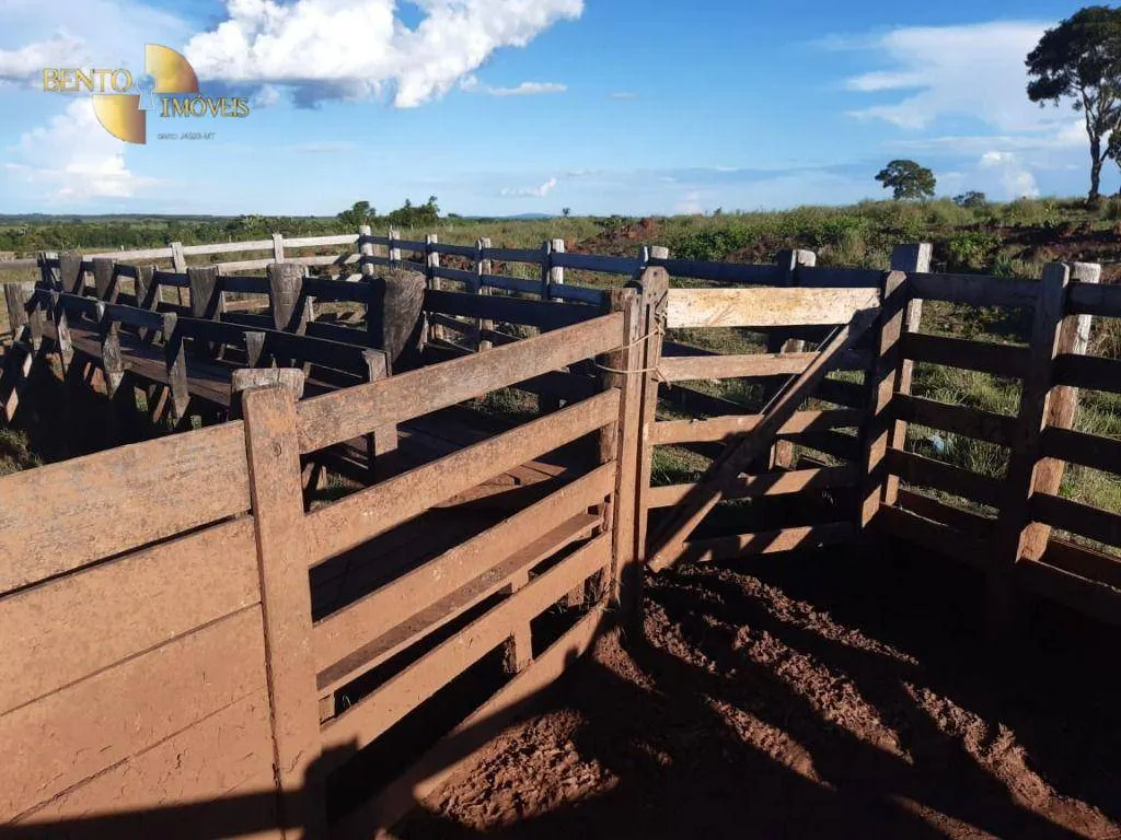 Fazenda à venda de 911 ha em Nobres, MT, Brasil