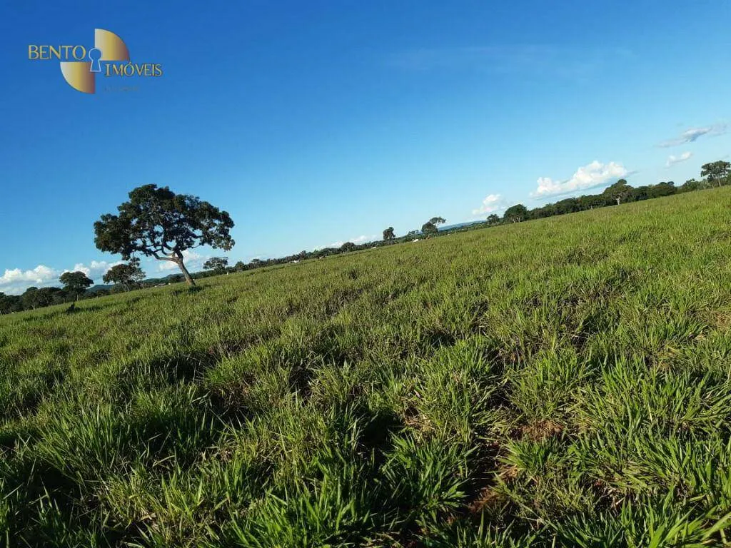 Fazenda à venda de 911 ha em Nobres, MT, Brasil