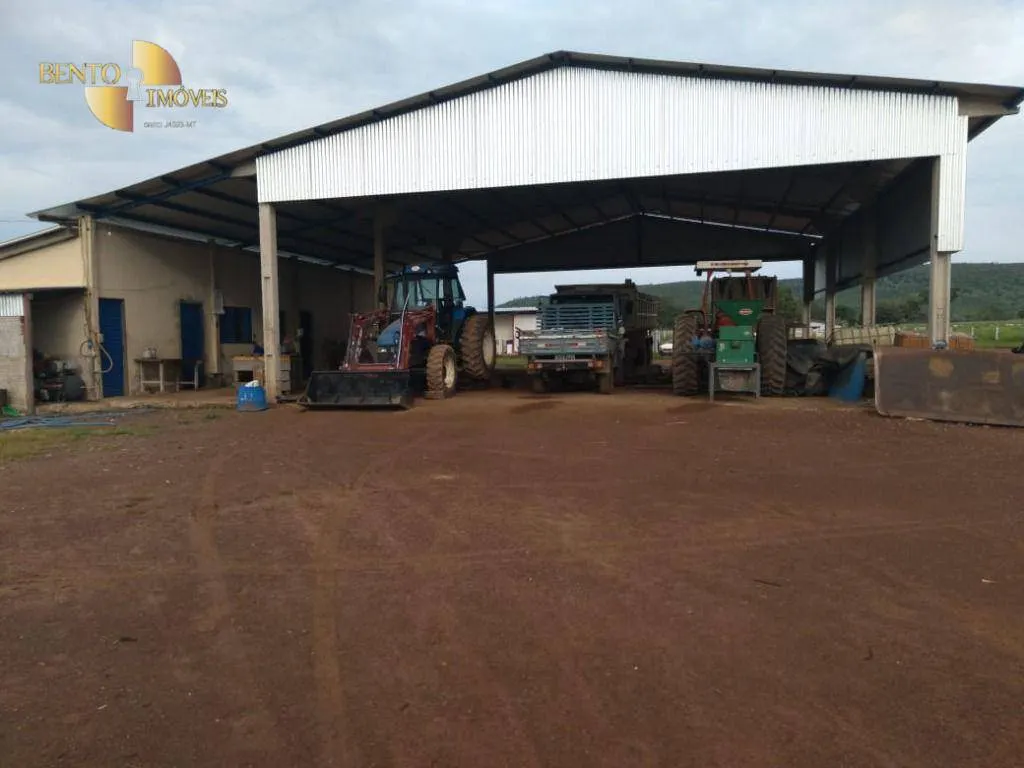 Fazenda à venda de 911 ha em Nobres, MT, Brasil