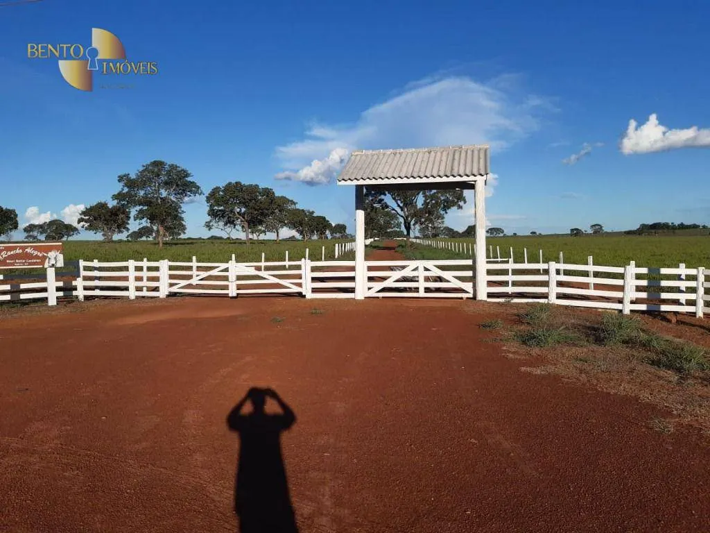 Fazenda à venda de 911 ha em Nobres, MT, Brasil