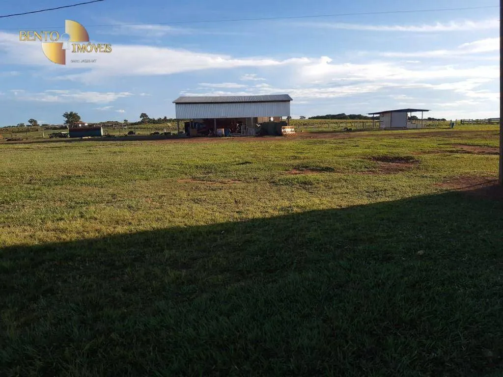 Fazenda à venda de 911 ha em Nobres, MT, Brasil