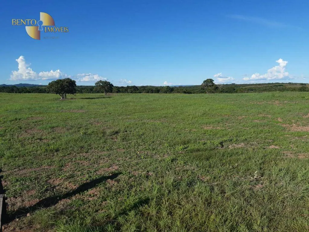 Fazenda à venda de 911 ha em Nobres, MT, Brasil