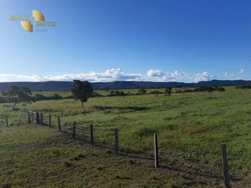 Fazenda à venda de 911 ha em Nobres, MT, Brasil