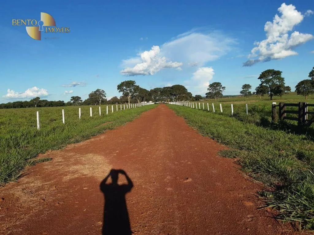 Fazenda à venda de 911 ha em Nobres, MT, Brasil