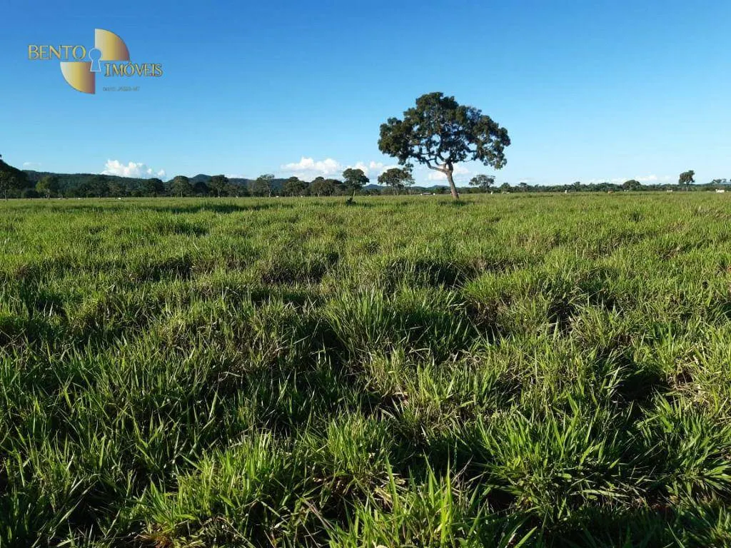 Fazenda à venda de 911 ha em Nobres, MT, Brasil