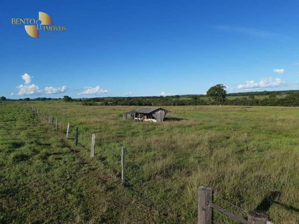 Fazenda à venda de 911 ha em Nobres, MT, Brasil