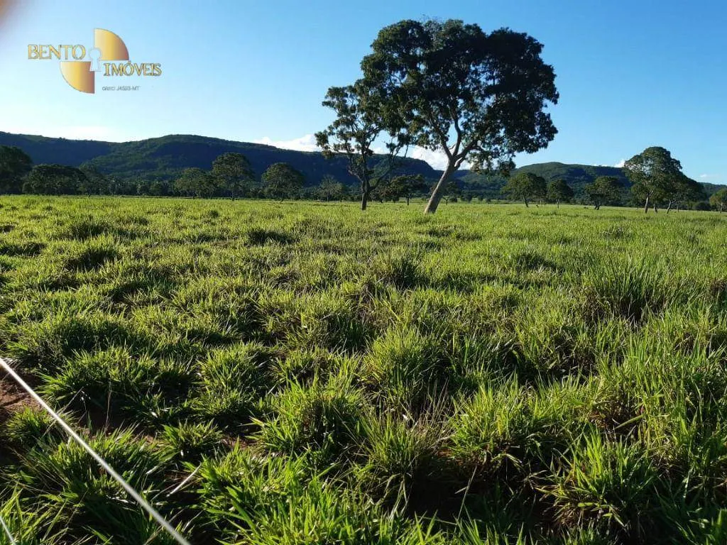 Fazenda à venda de 911 ha em Nobres, MT, Brasil