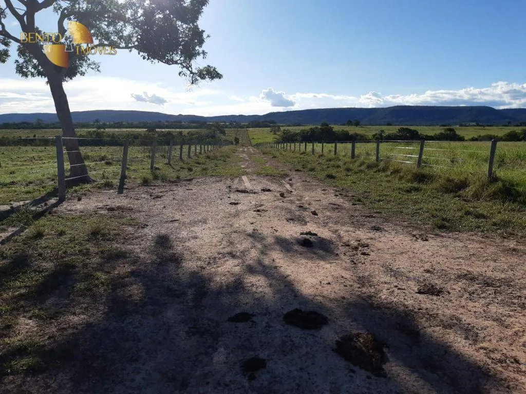 Fazenda à venda de 911 ha em Nobres, MT, Brasil