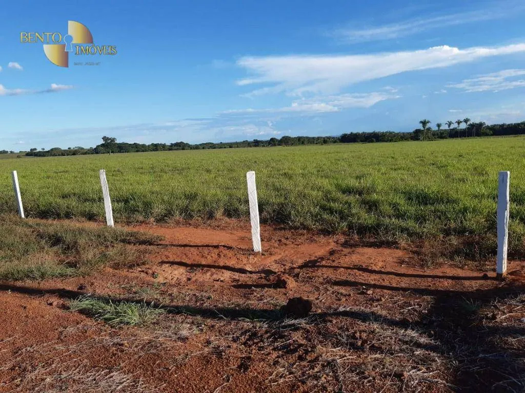 Fazenda à venda de 911 ha em Nobres, MT, Brasil