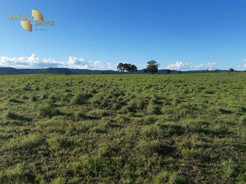 Fazenda à venda de 911 ha em Nobres, MT, Brasil