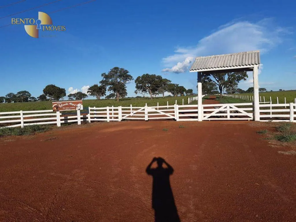 Fazenda à venda de 911 ha em Nobres, MT, Brasil