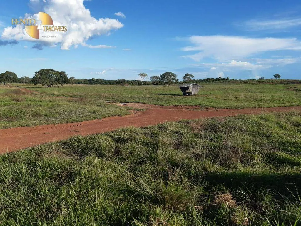 Fazenda à venda de 911 ha em Nobres, MT, Brasil