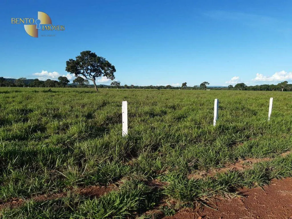 Fazenda à venda de 911 ha em Nobres, MT, Brasil