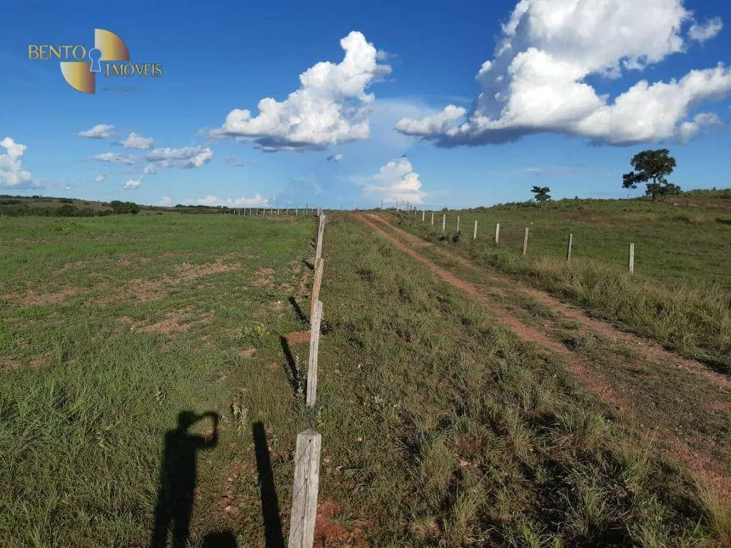 Fazenda à venda de 911 ha em Nobres, MT, Brasil