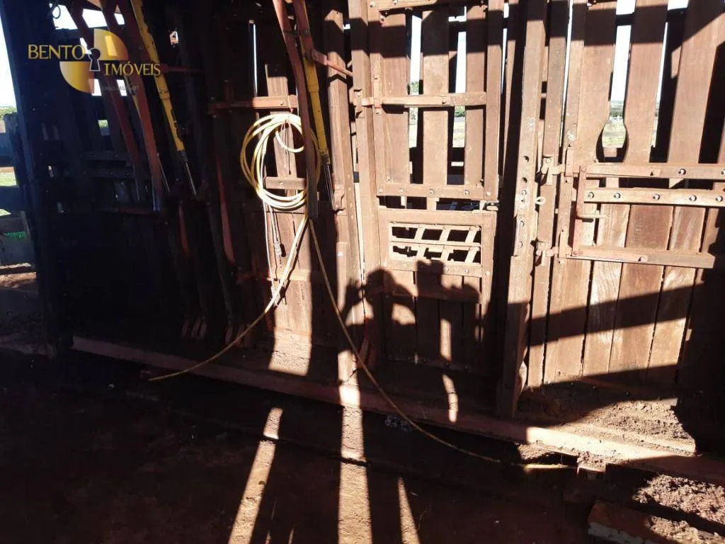 Fazenda à venda de 911 ha em Nobres, MT, Brasil