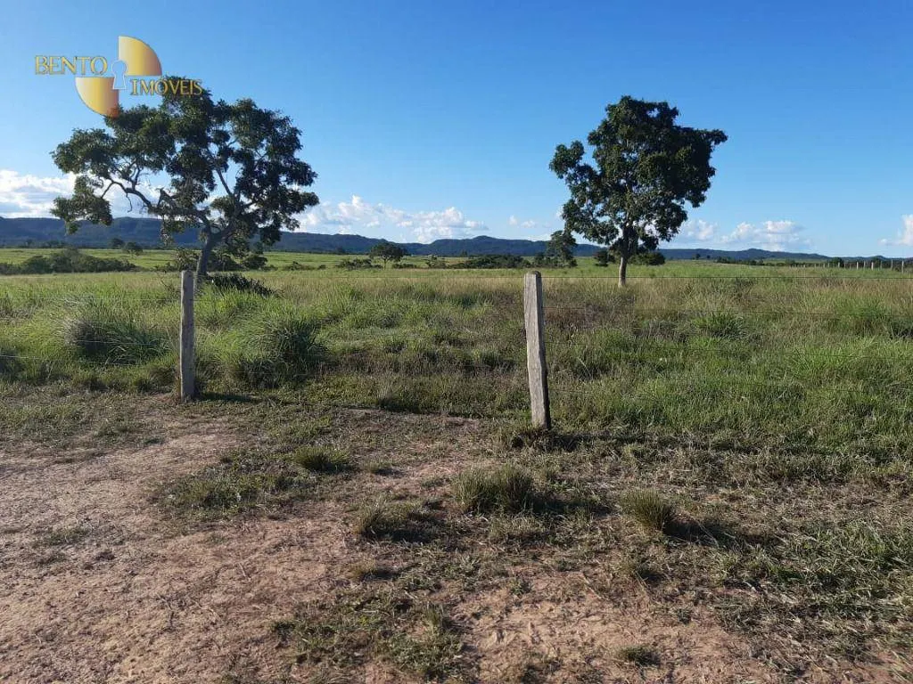 Fazenda à venda de 911 ha em Nobres, MT, Brasil