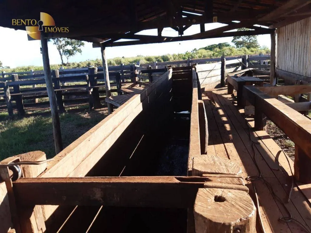 Fazenda à venda de 911 ha em Nobres, MT, Brasil