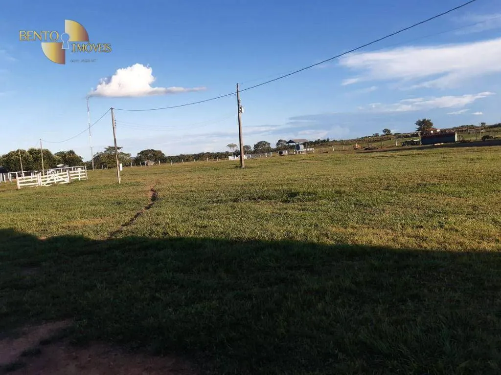 Fazenda à venda de 911 ha em Nobres, MT, Brasil