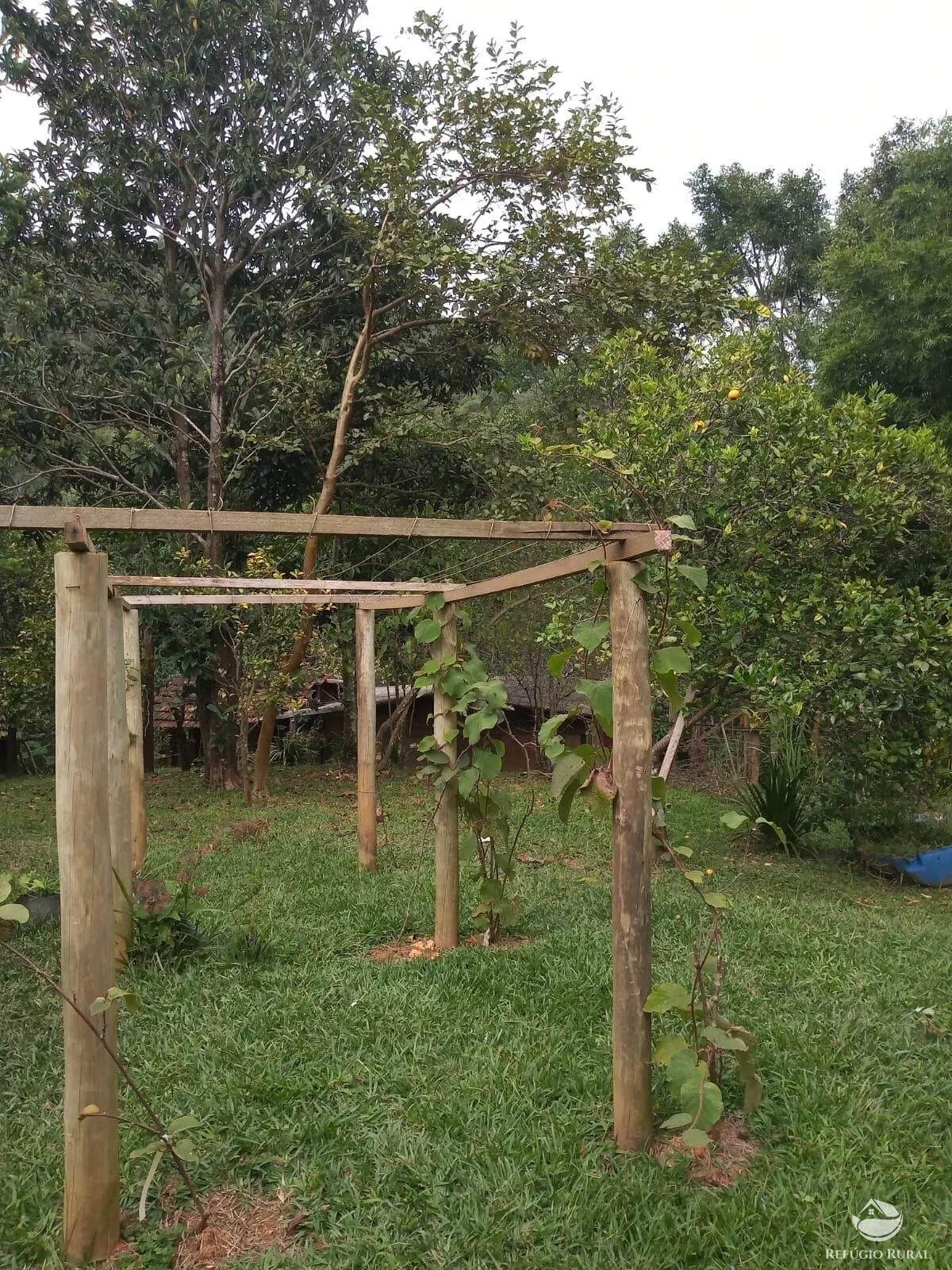 Chácara à venda de 3 ha em Monteiro Lobato, SP, Brasil