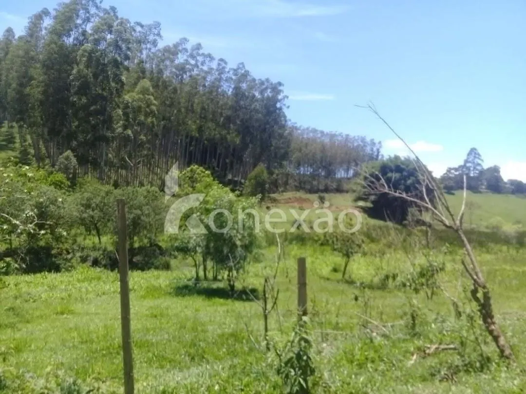Fazenda à venda de 200 ha em Paraibuna, SP, Brasil