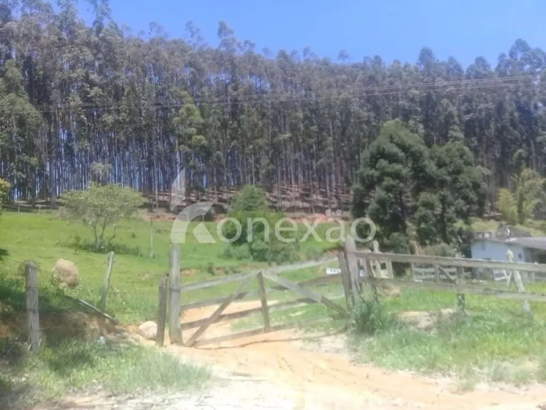 Fazenda à venda de 200 ha em Paraibuna, SP, Brasil