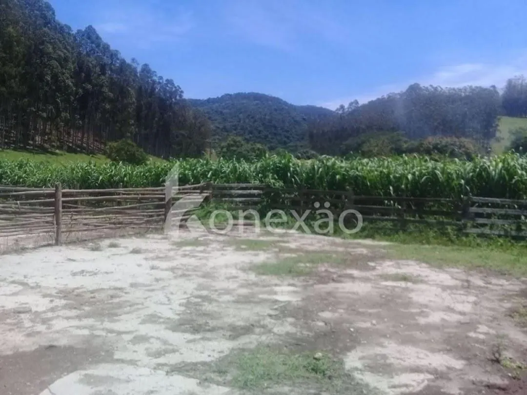 Fazenda à venda de 200 ha em Paraibuna, SP, Brasil