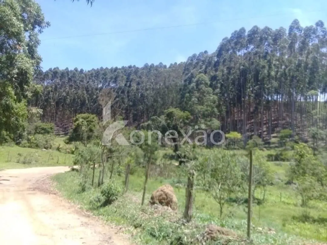 Fazenda à venda de 200 ha em Paraibuna, SP, Brasil