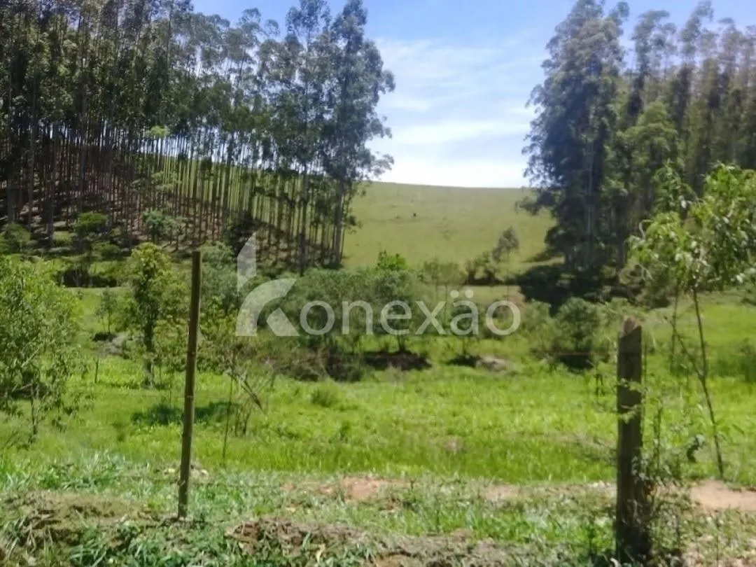 Fazenda à venda de 200 ha em Paraibuna, SP, Brasil