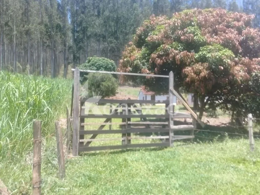 Fazenda à venda de 200 ha em Paraibuna, SP, Brasil