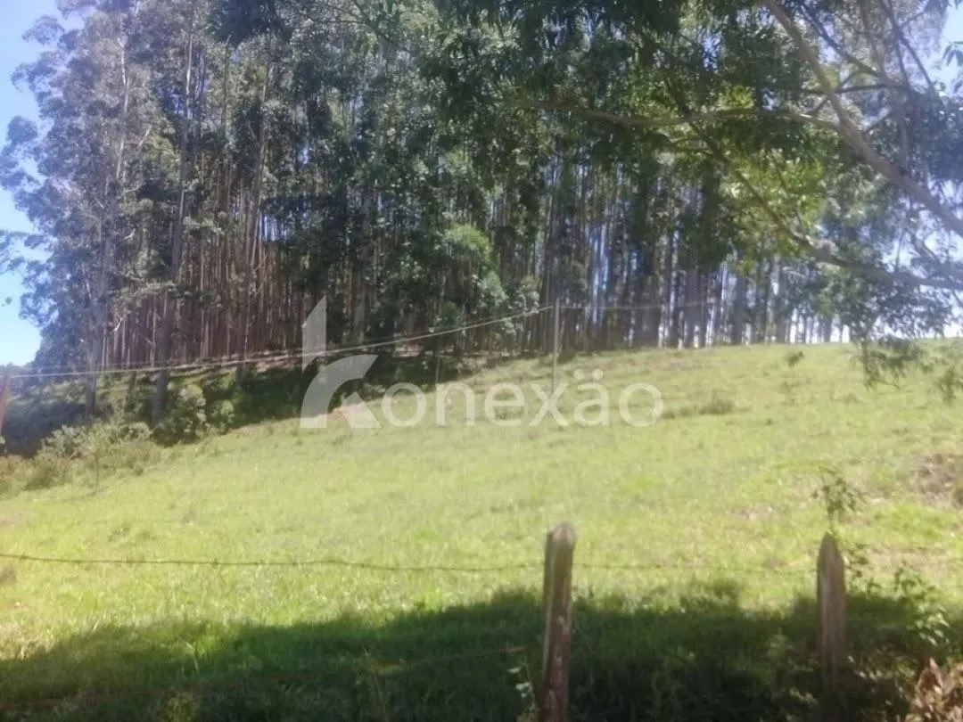 Fazenda à venda de 200 ha em Paraibuna, SP, Brasil
