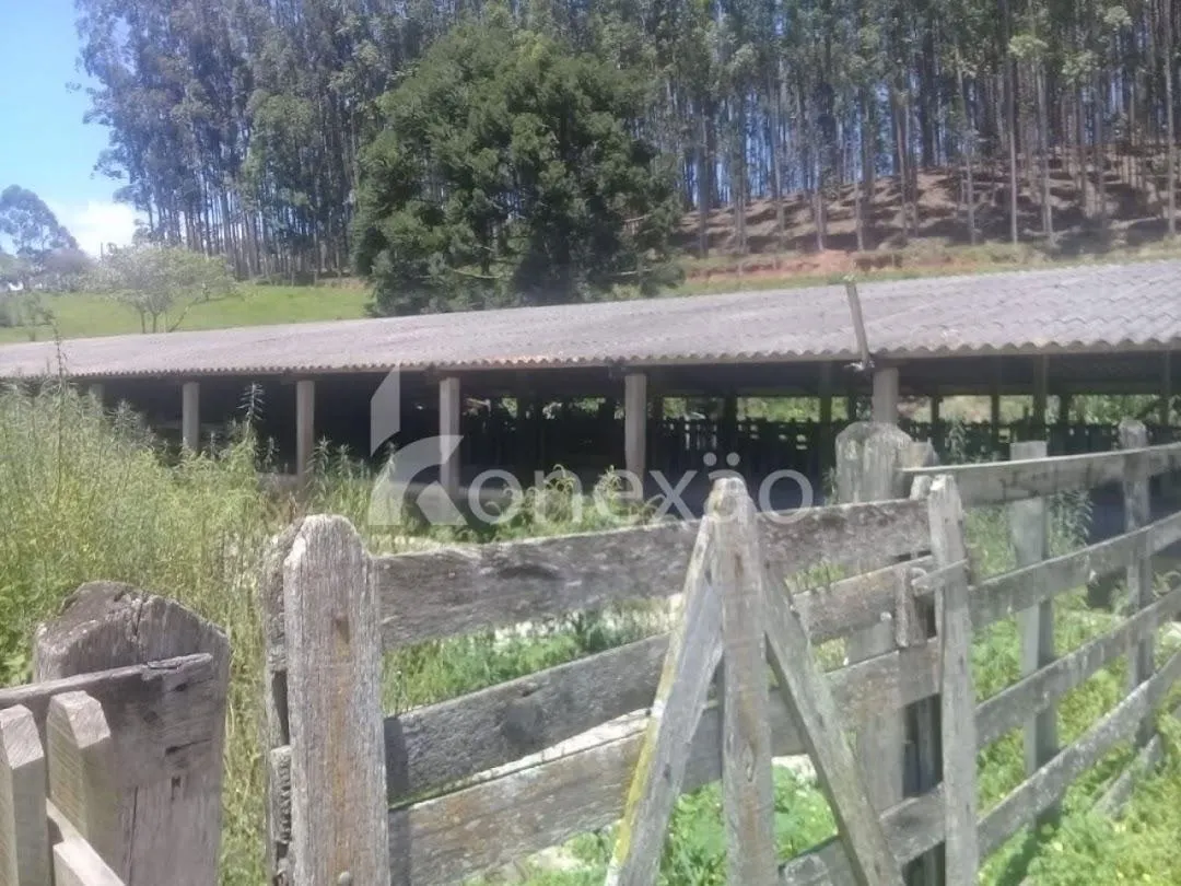 Fazenda à venda de 200 ha em Paraibuna, SP, Brasil