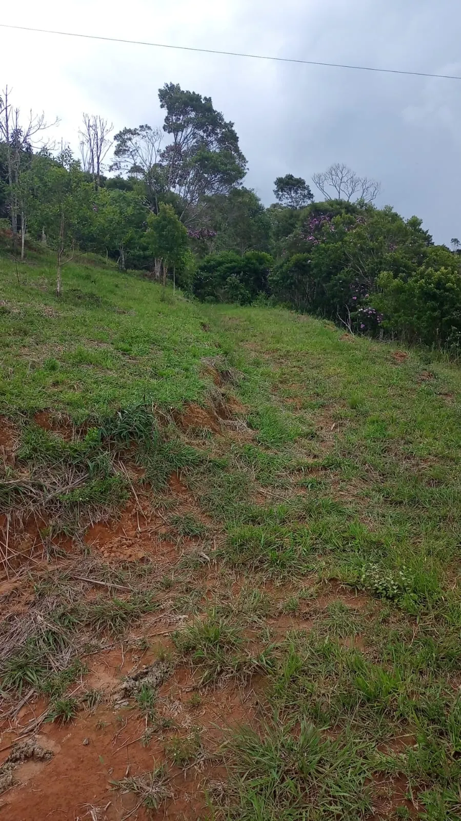 Plot for sale of 24 acres in São José dos Campos, SP, Brazil
