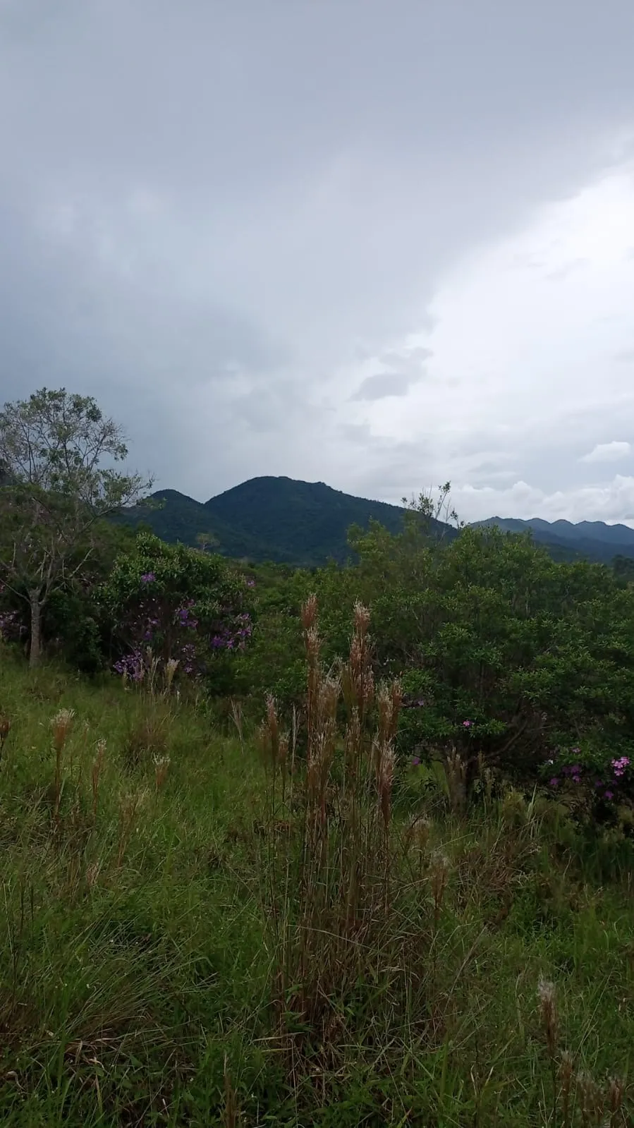 Plot for sale of 24 acres in São José dos Campos, SP, Brazil