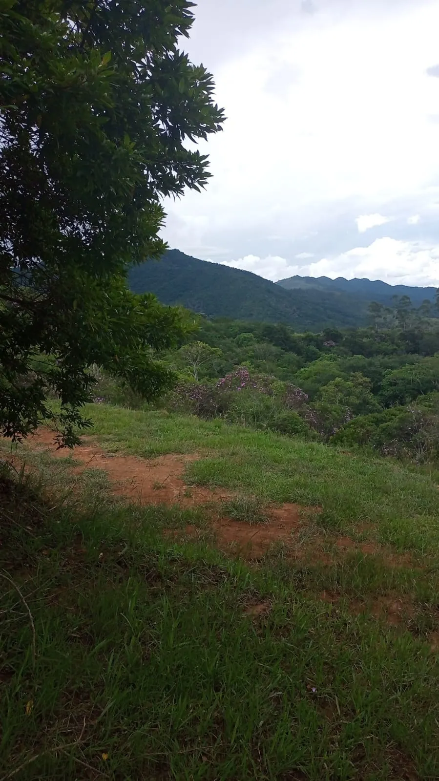 Plot for sale of 24 acres in São José dos Campos, SP, Brazil