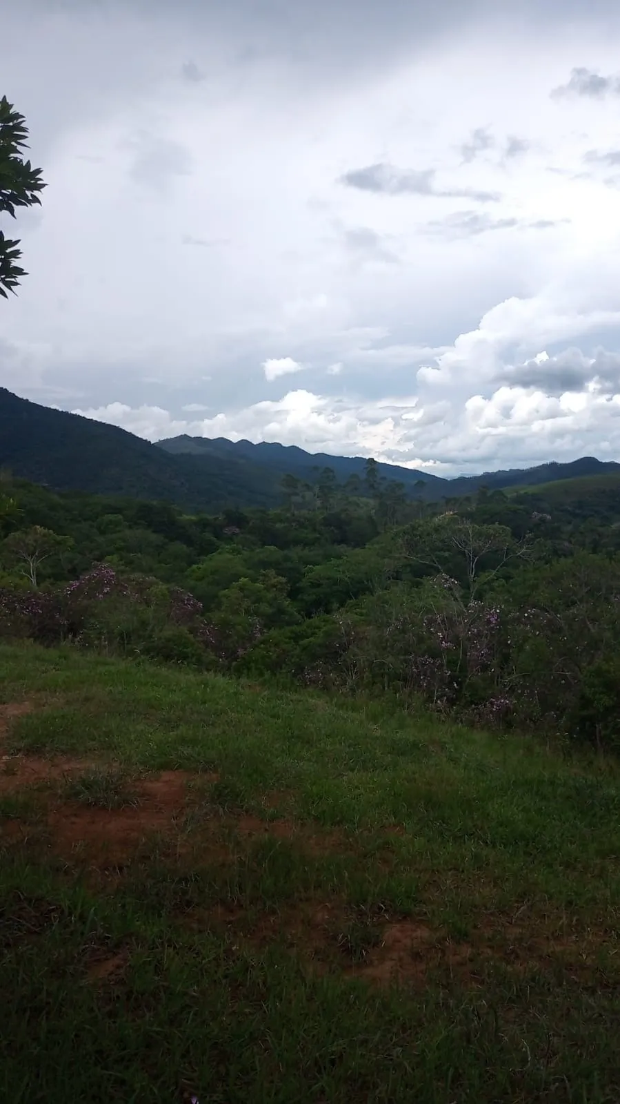 Plot for sale of 24 acres in São José dos Campos, SP, Brazil