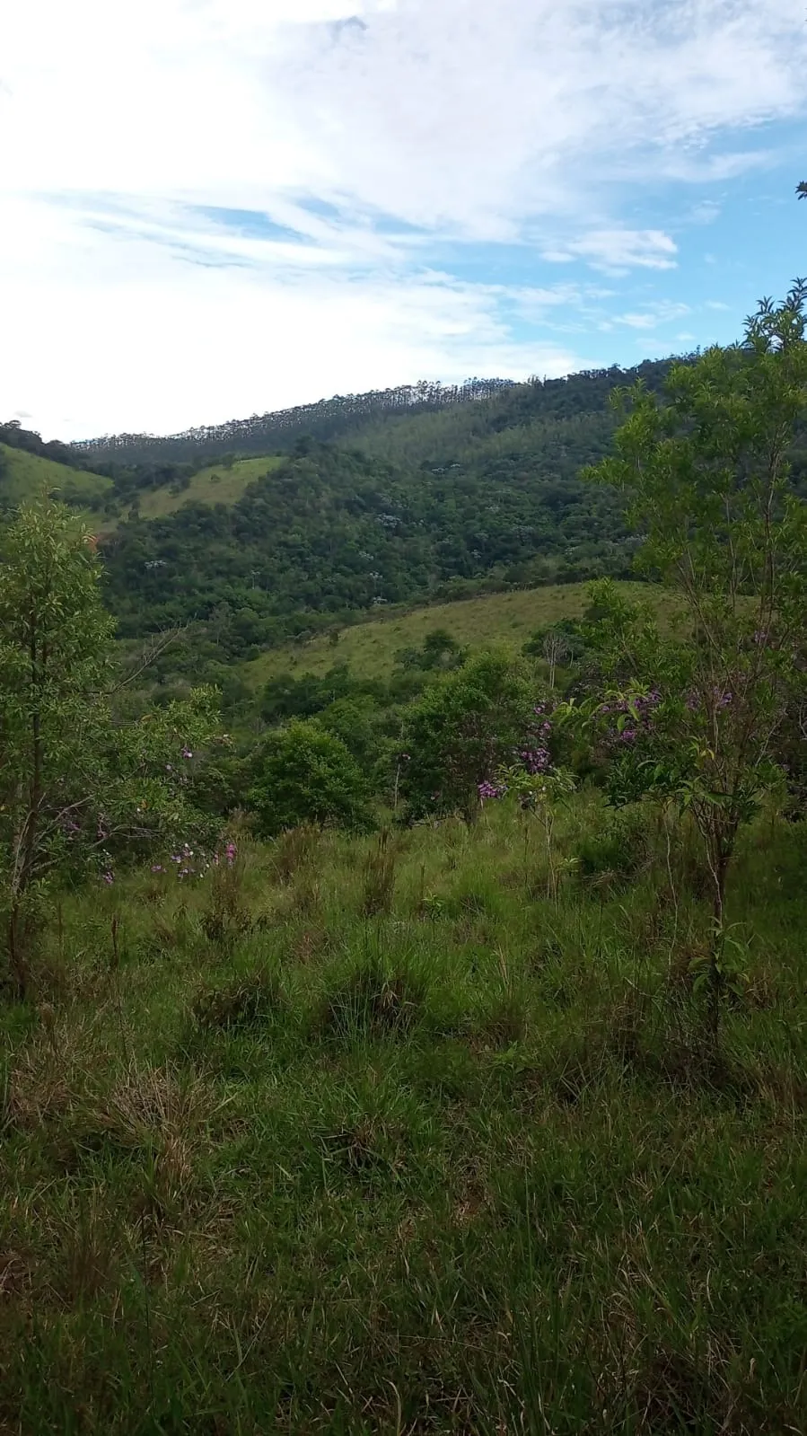 Plot for sale of 24 acres in São José dos Campos, SP, Brazil