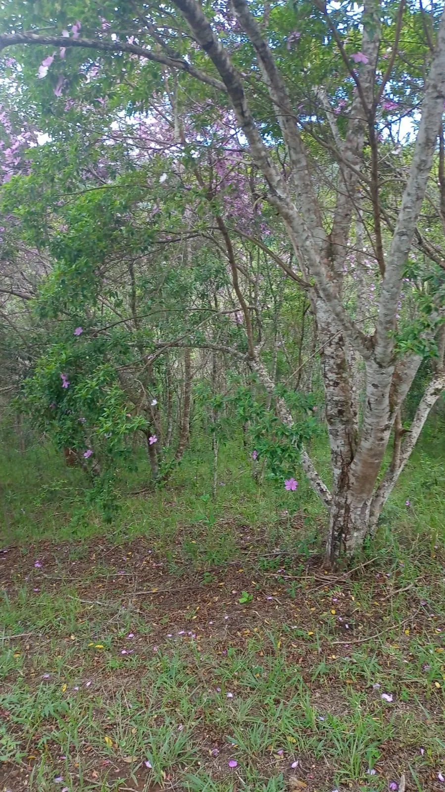 Plot for sale of 24 acres in São José dos Campos, SP, Brazil