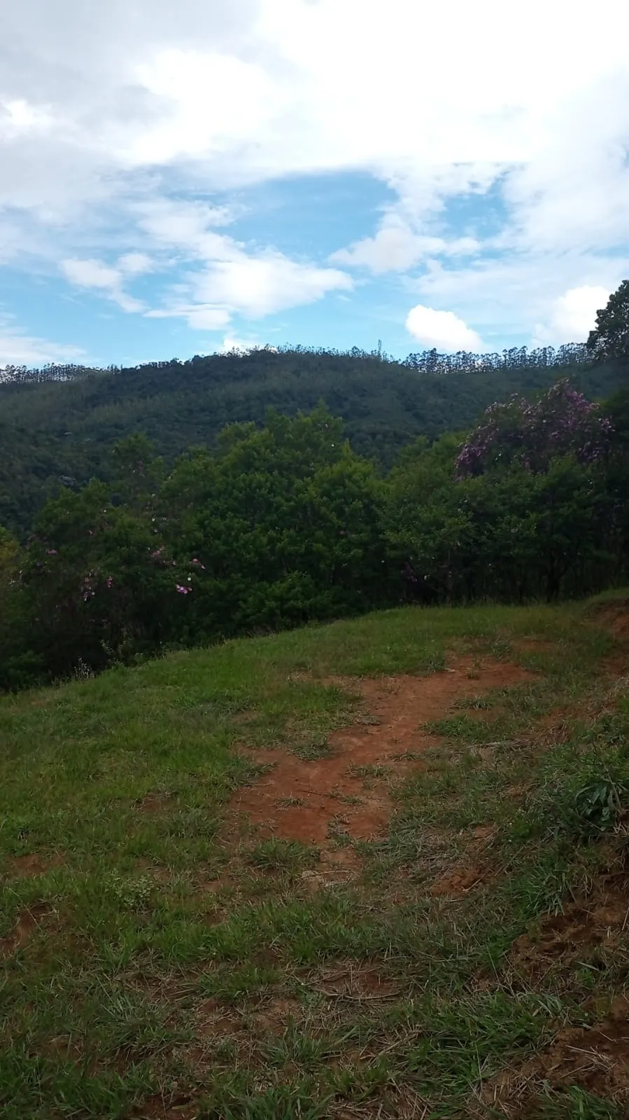 Plot for sale of 24 acres in São José dos Campos, SP, Brazil