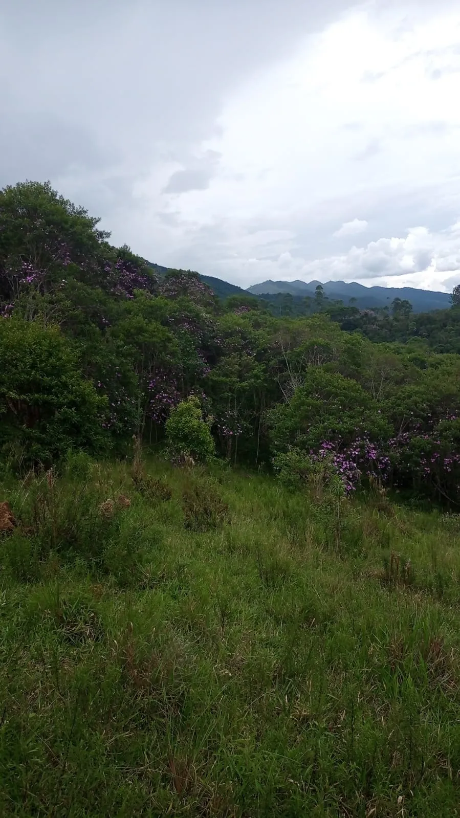 Plot for sale of 24 acres in São José dos Campos, SP, Brazil