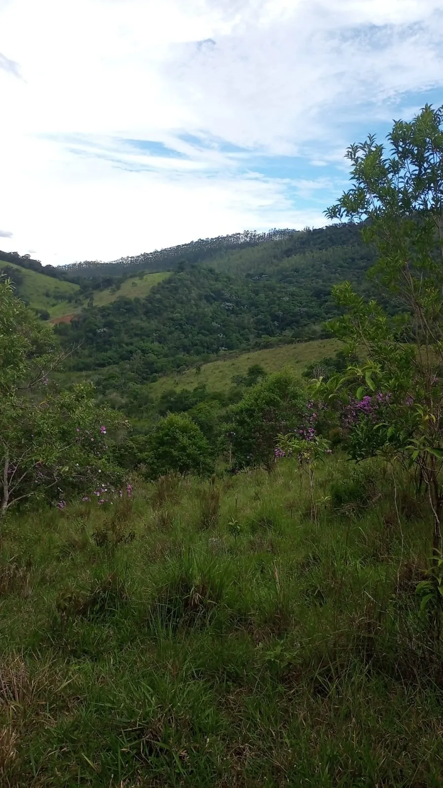 Plot for sale of 24 acres in São José dos Campos, SP, Brazil