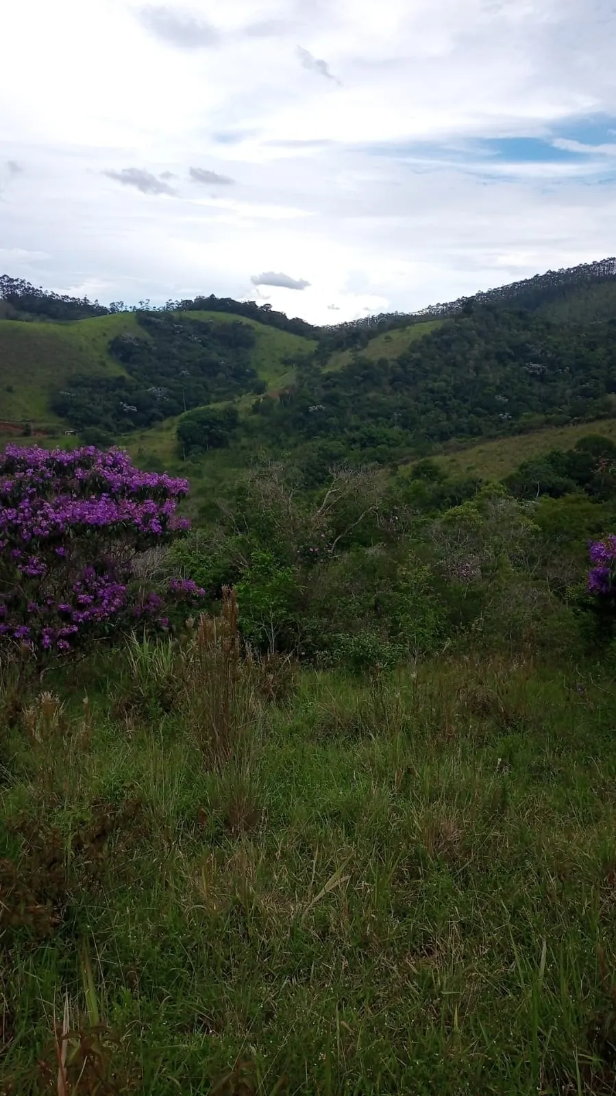 Plot for sale of 24 acres in São José dos Campos, SP, Brazil