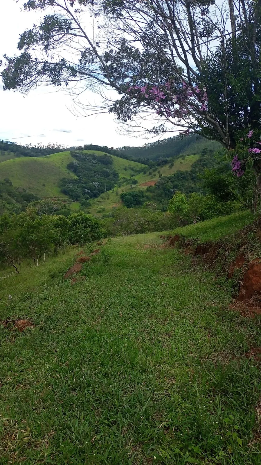 Plot for sale of 24 acres in São José dos Campos, SP, Brazil