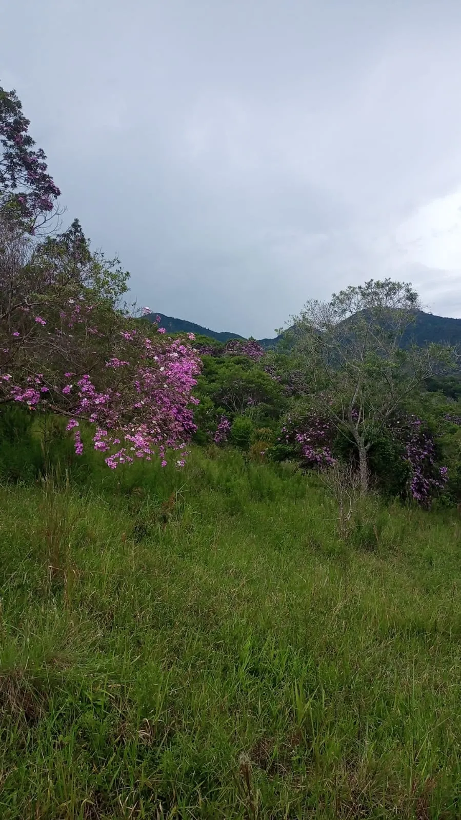 Plot for sale of 24 acres in São José dos Campos, SP, Brazil