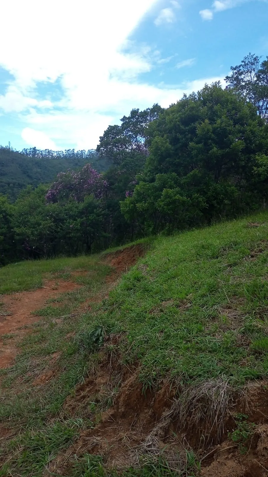 Plot for sale of 24 acres in São José dos Campos, SP, Brazil