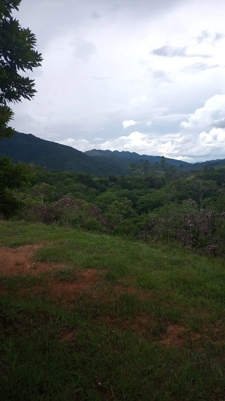 Plot for sale of 24 acres in São José dos Campos, SP, Brazil