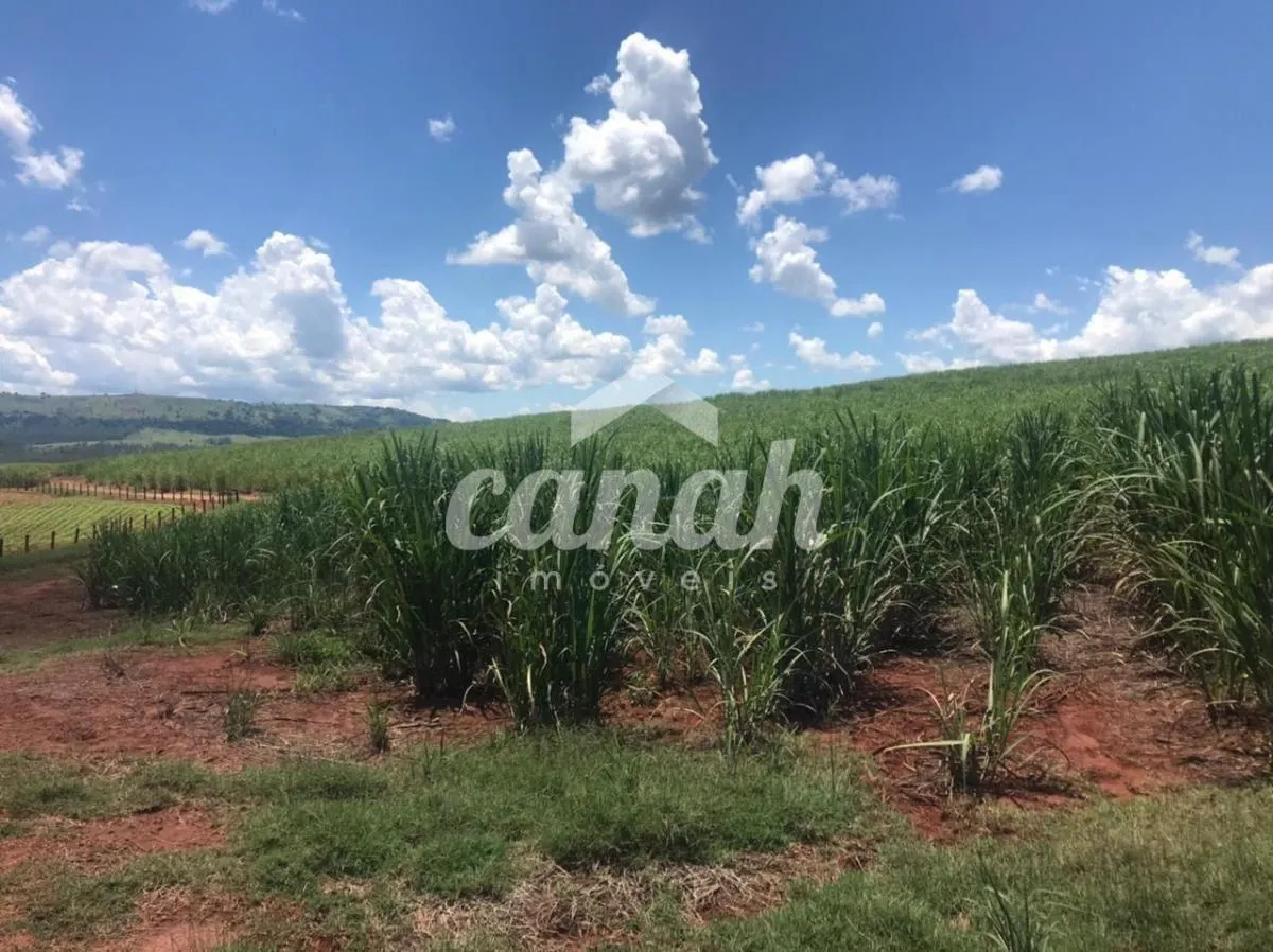Fazenda à venda de 175 ha em Patrocínio Paulista, SP, Brasil