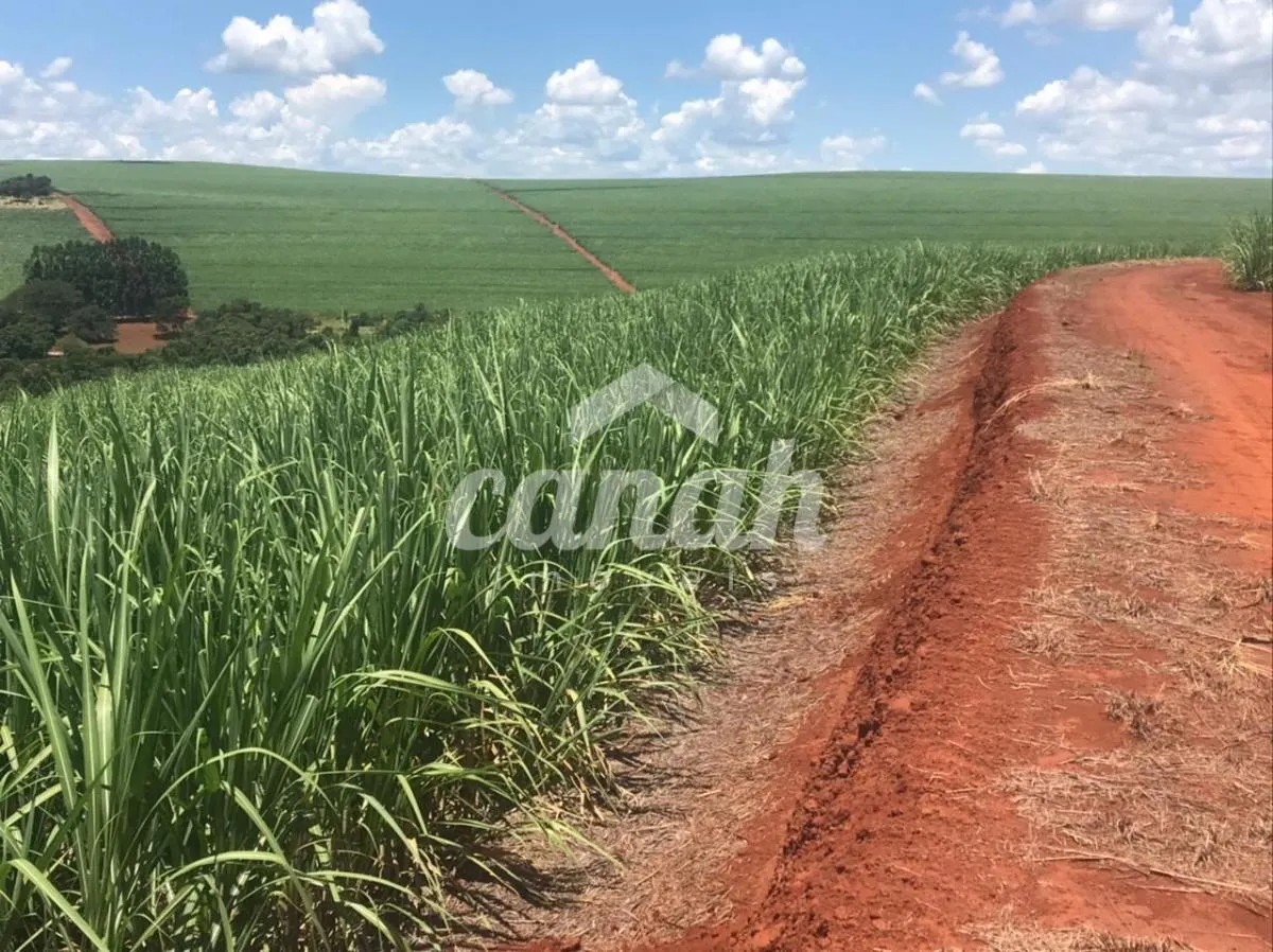 Fazenda à venda de 175 ha em Patrocínio Paulista, SP, Brasil