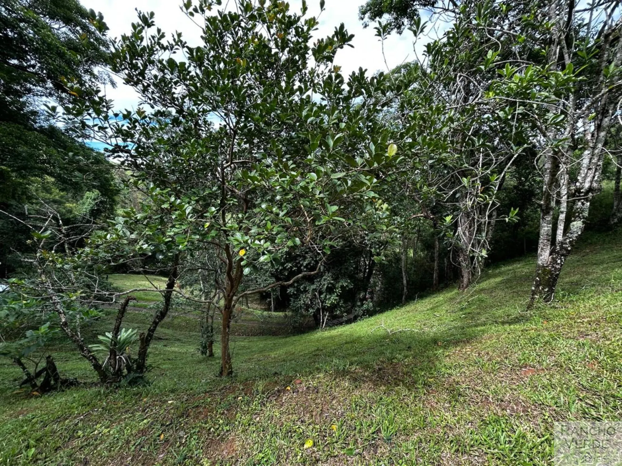 Sítio para Arrendar de 7 m² em Monteiro Lobato, SP, Brasil