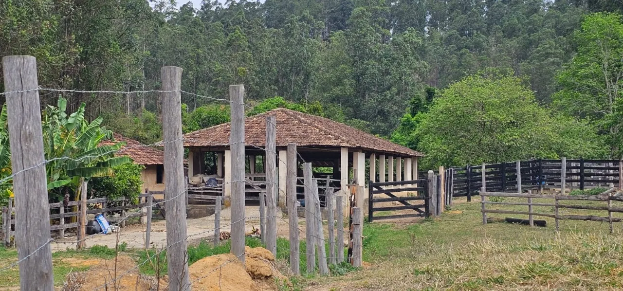 Fazenda à venda de 523 ha em Lavrinhas, SP, Brasil