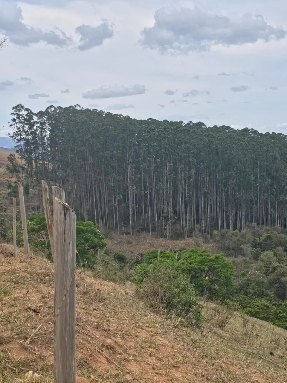 Fazenda à venda de 523 ha em Lavrinhas, SP, Brasil